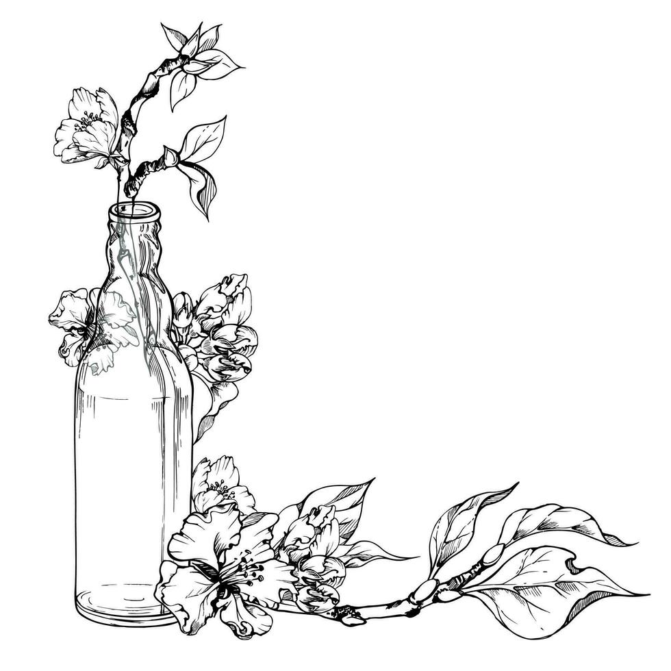 Hand drawn ink composition with apple flowers on branch with leaves and glass bottle. Isolated on white background. Design for wall art, wedding, print, fabric, cover, card, invitation. vector