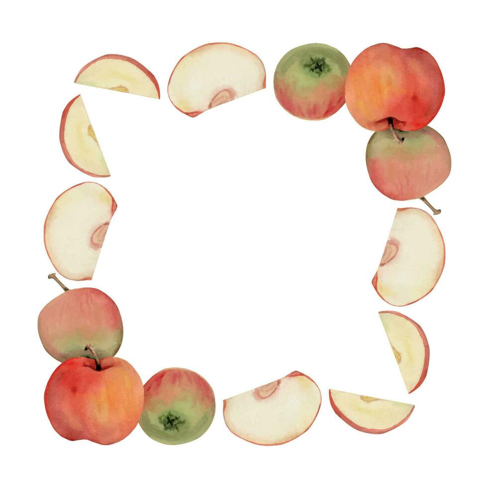 mano dibujado acuarela manzana frutas, maduro lleno y rebanadas, rojo y verde. cuadrado marco composición. aislado objeto en blanco antecedentes. diseño para pared arte, boda, imprimir, tela, cubrir, tarjeta. vector