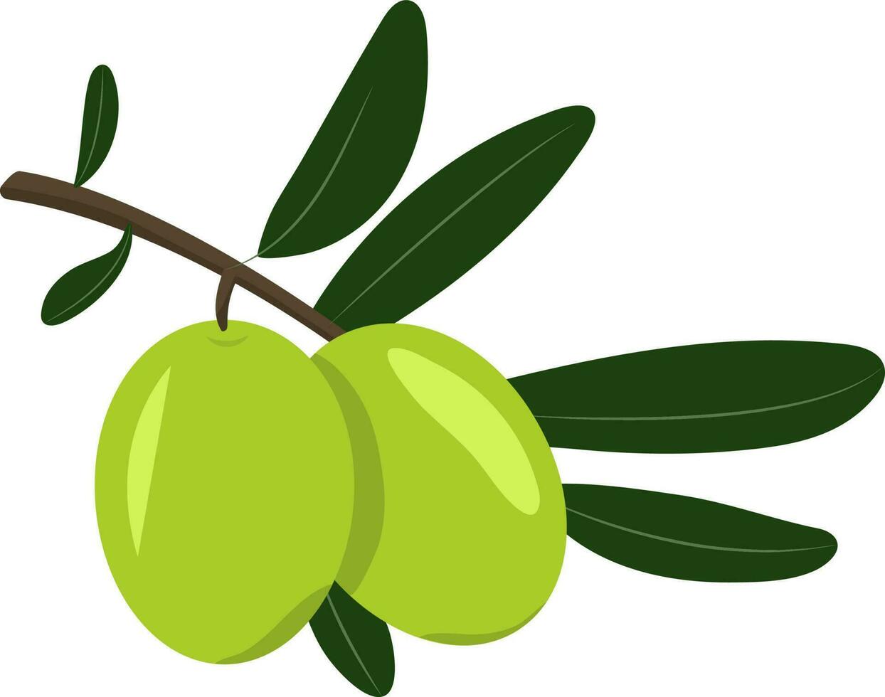 Green Olive Berry Branch Icon In Flat Style. vector