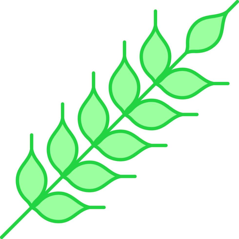 Green Wheat Plant Icon In Flat Style. vector