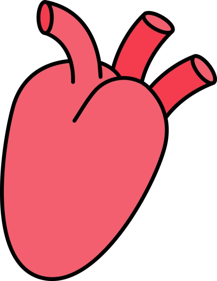 Human Heart Icon In Red Color. vector