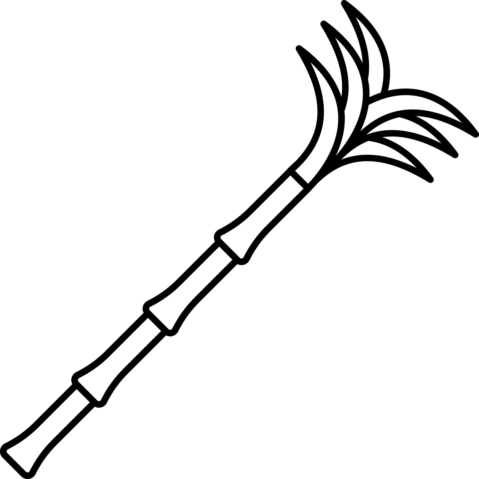 Isolated Sugarcane Black Line Art 24155317 Vector Art at Vecteezy