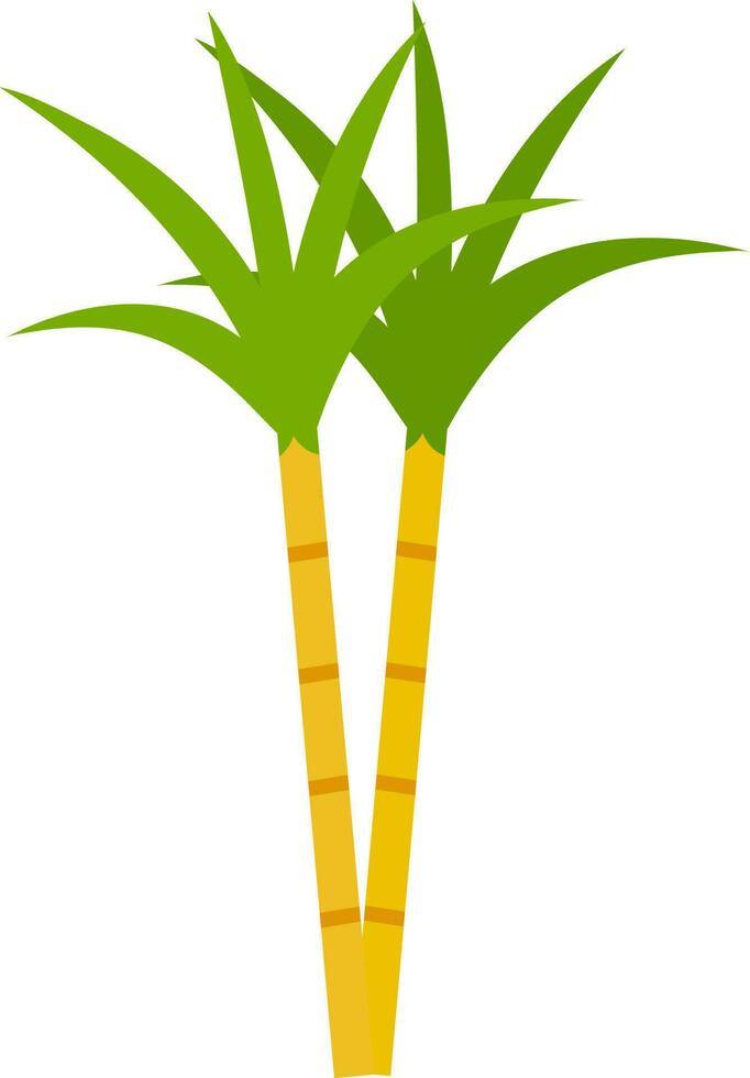 Isolated Sugarcane Icon In Flat Style. vector