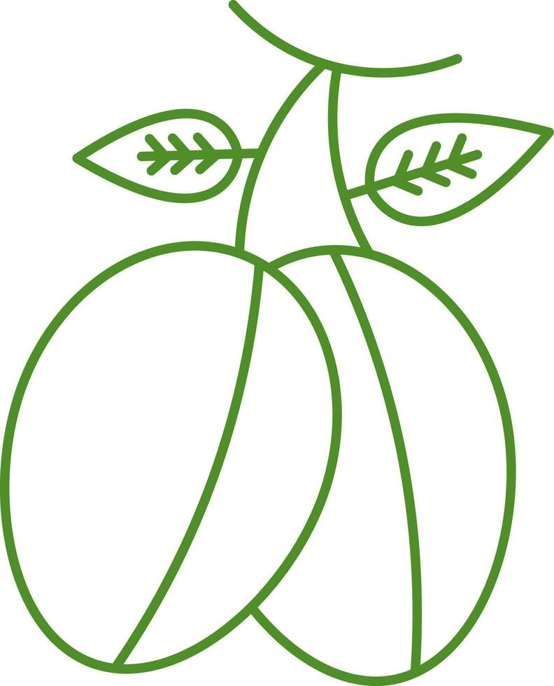 Bunch Argan Berries Icon Green Line Art. vector