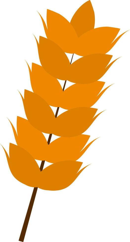 Flat Style Wheat Ears Icon In Orange Color. vector