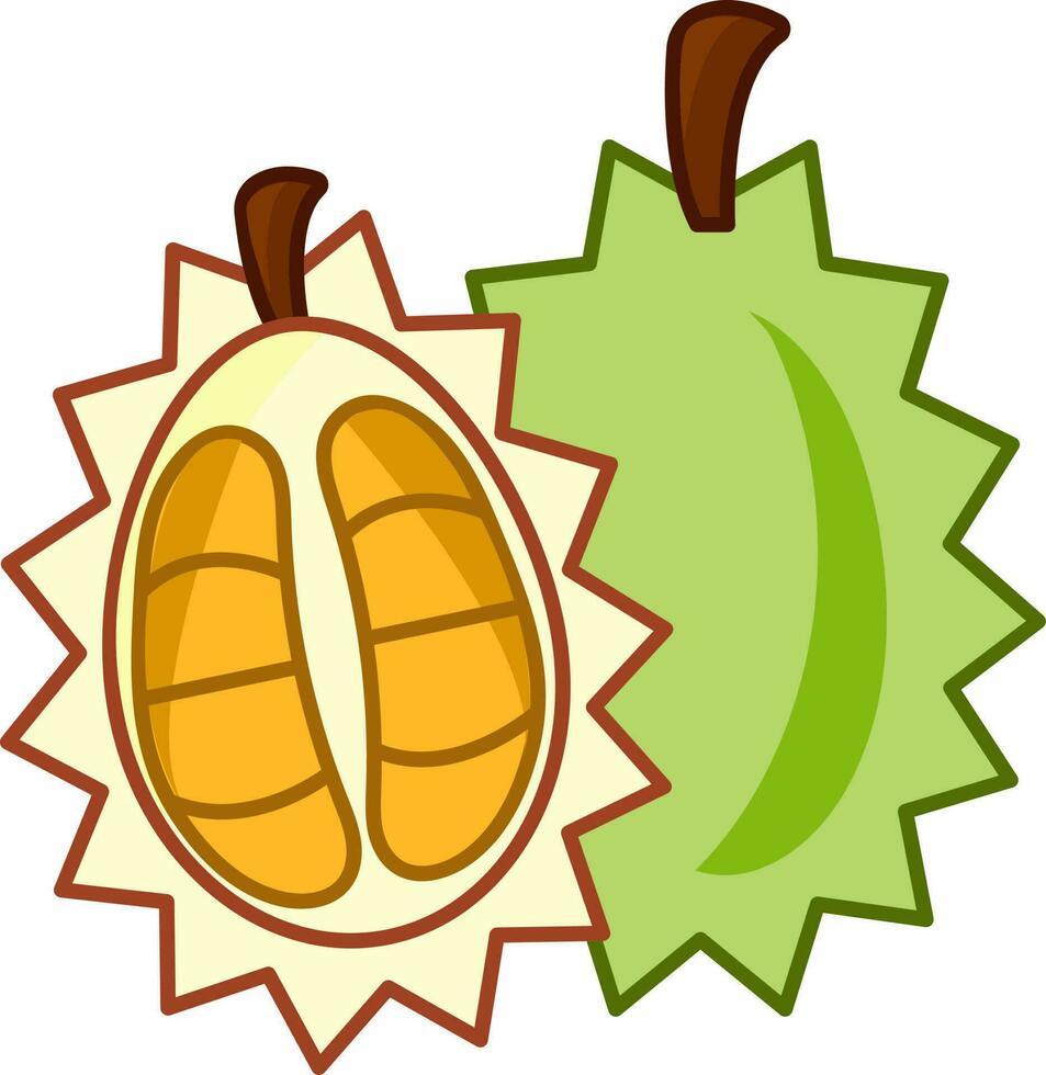 Isolated Full And Cut Piece Of Durian Fruit Flat Icon. vector