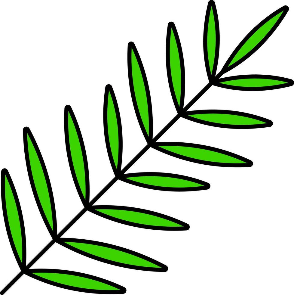 Isolated Palm Leaves Branch Icon In Green Color. vector