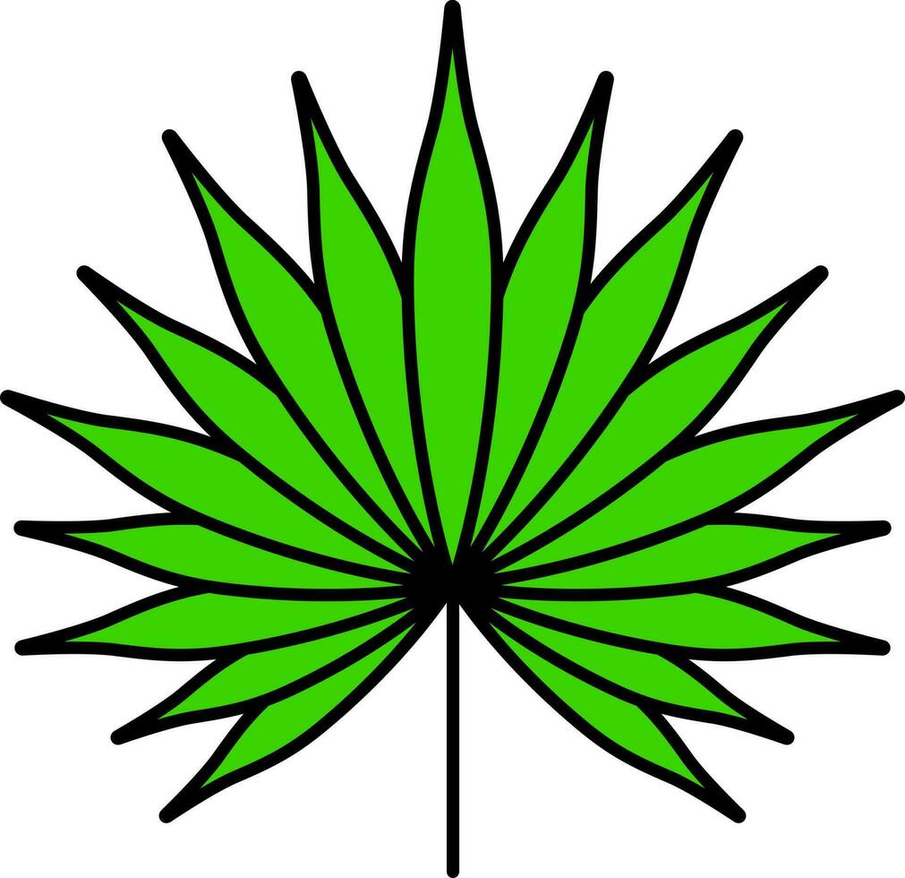 Flat Illustration Of Green Fan Palm Leaf Icon. vector