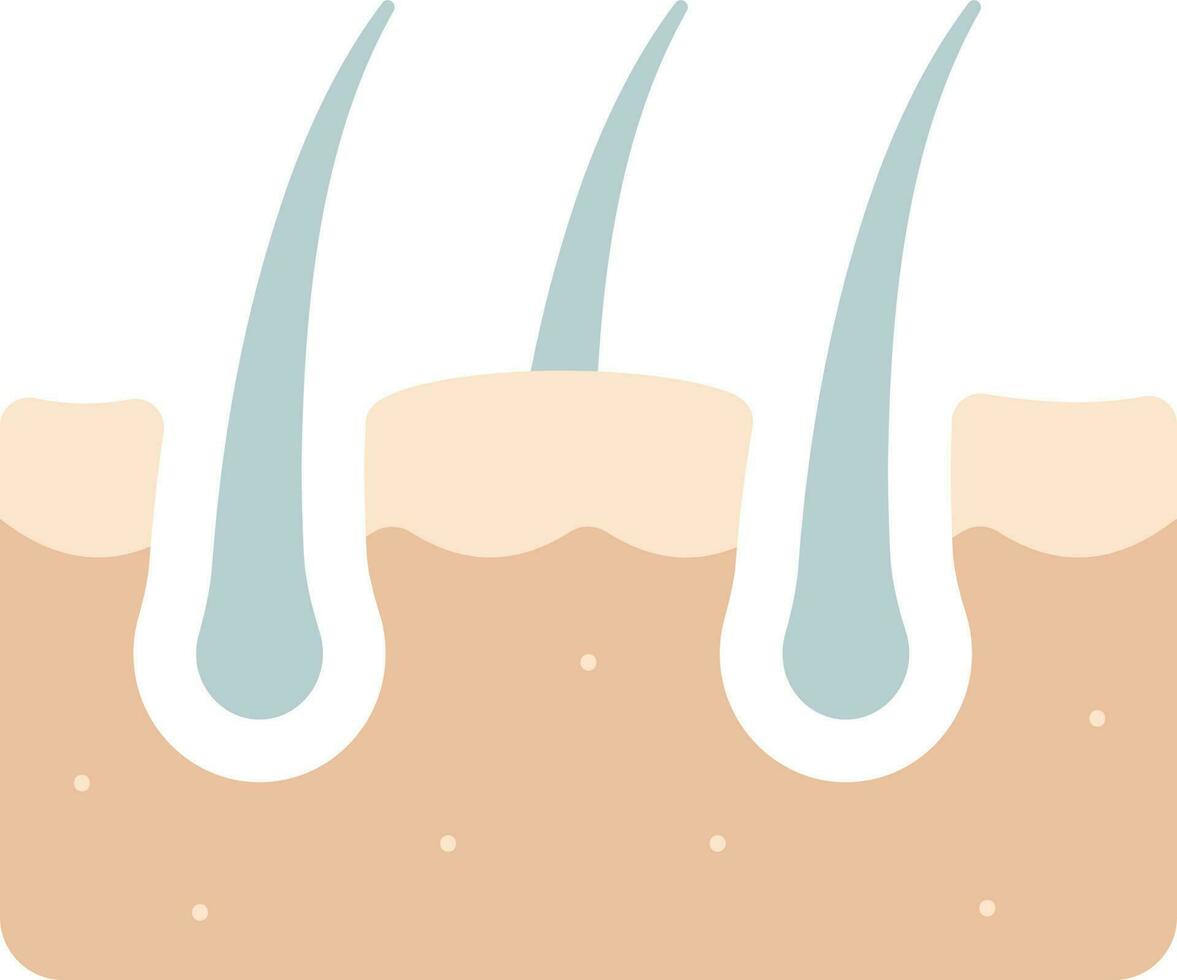 Hair Follicle Internal Structure Icon In Peach And Grey Color. vector