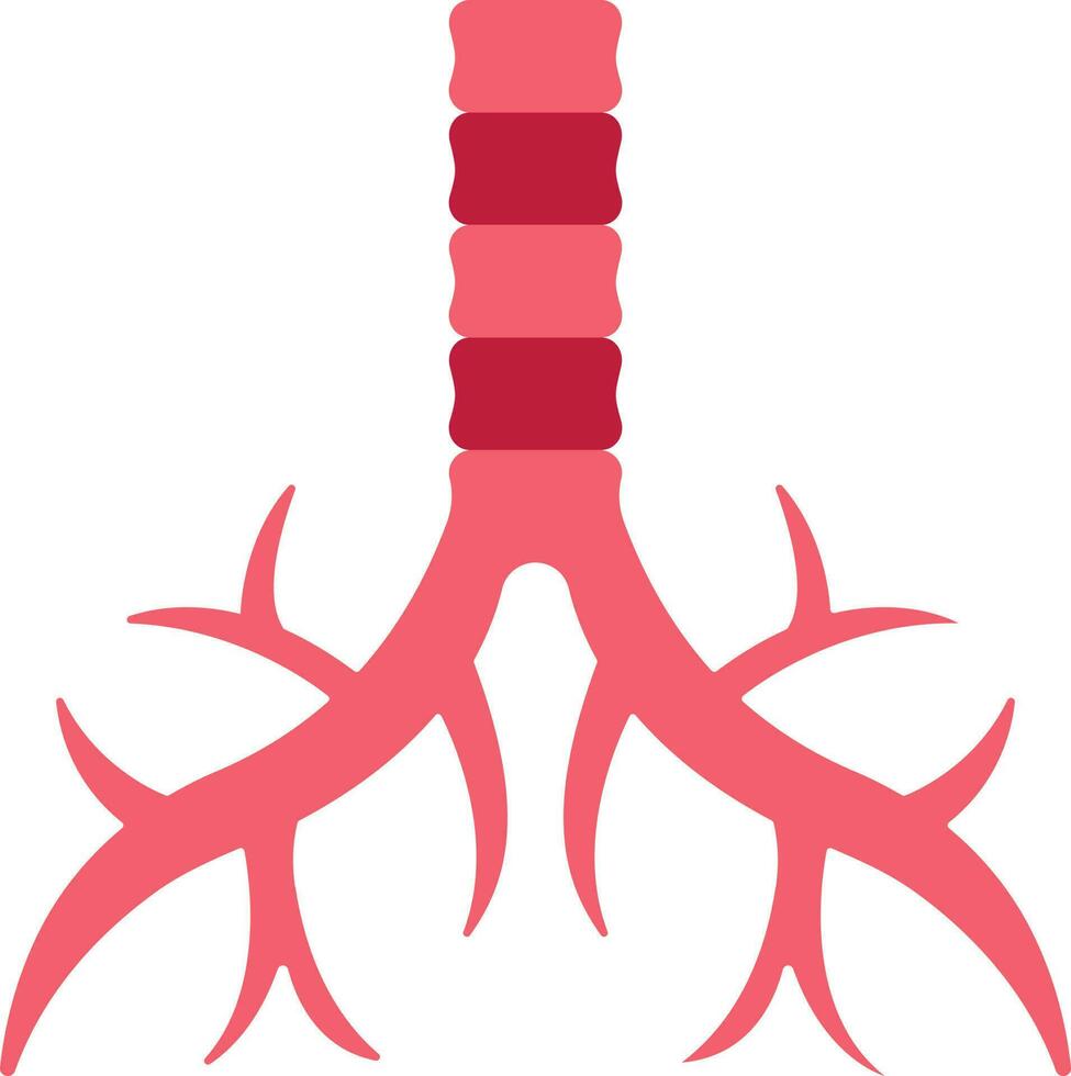 Flat Style Trachea Anatomy Icon In Red Color. vector