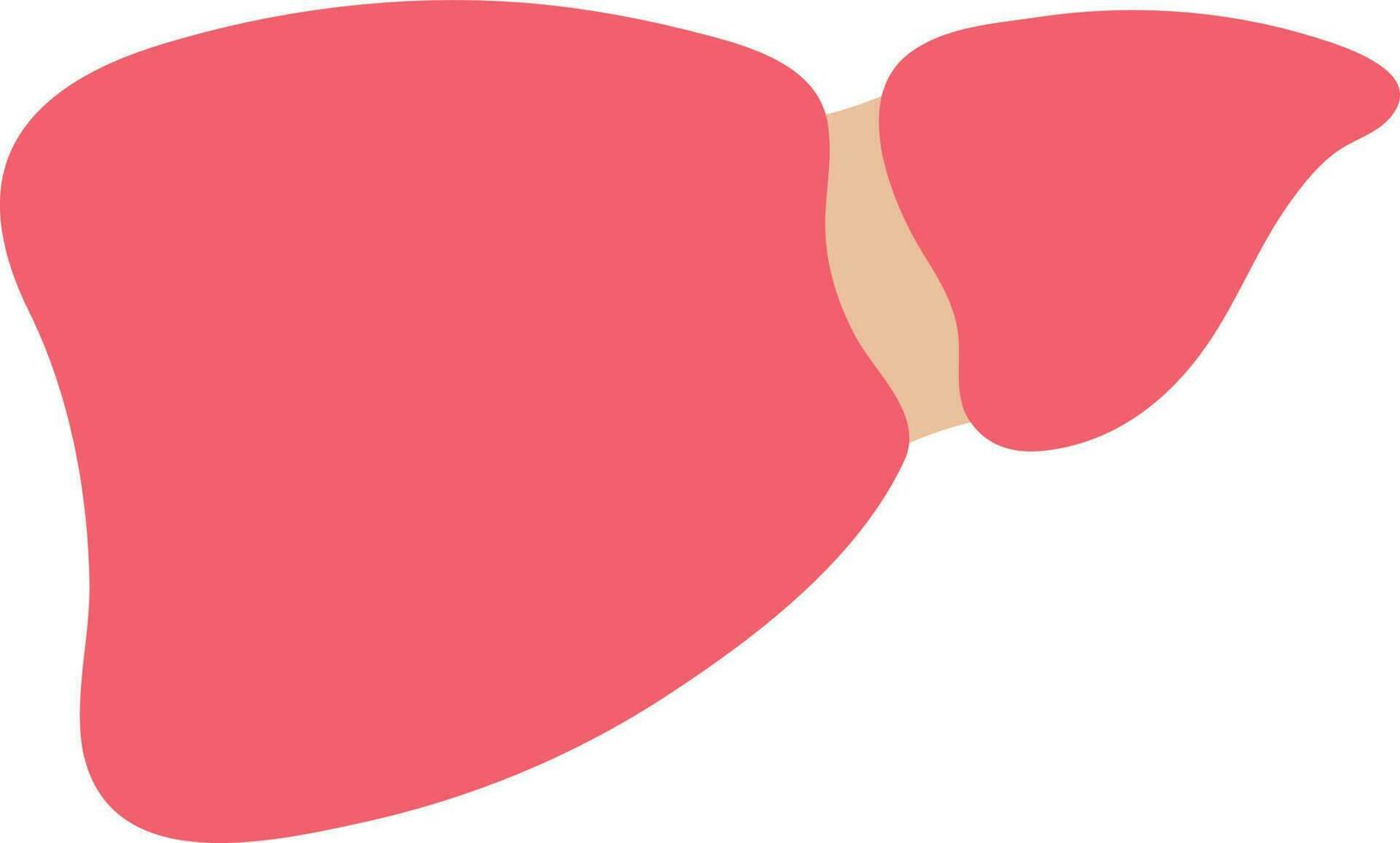 rojo hígado anatomía icono en plano estilo. vector