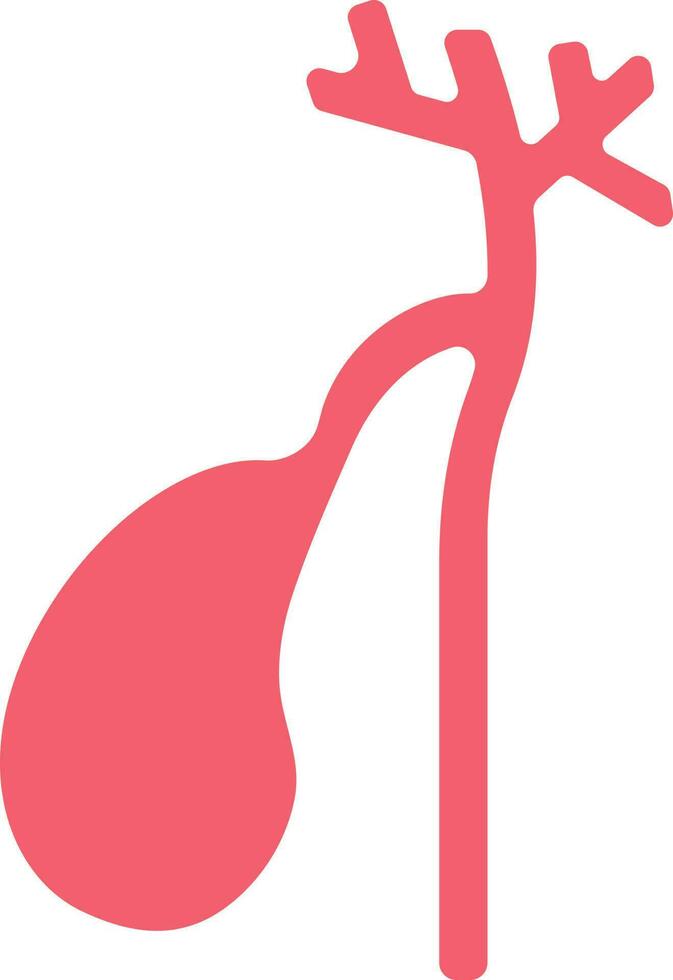 Pear Shaped Organ Of Gallbladder Red Icon. vector