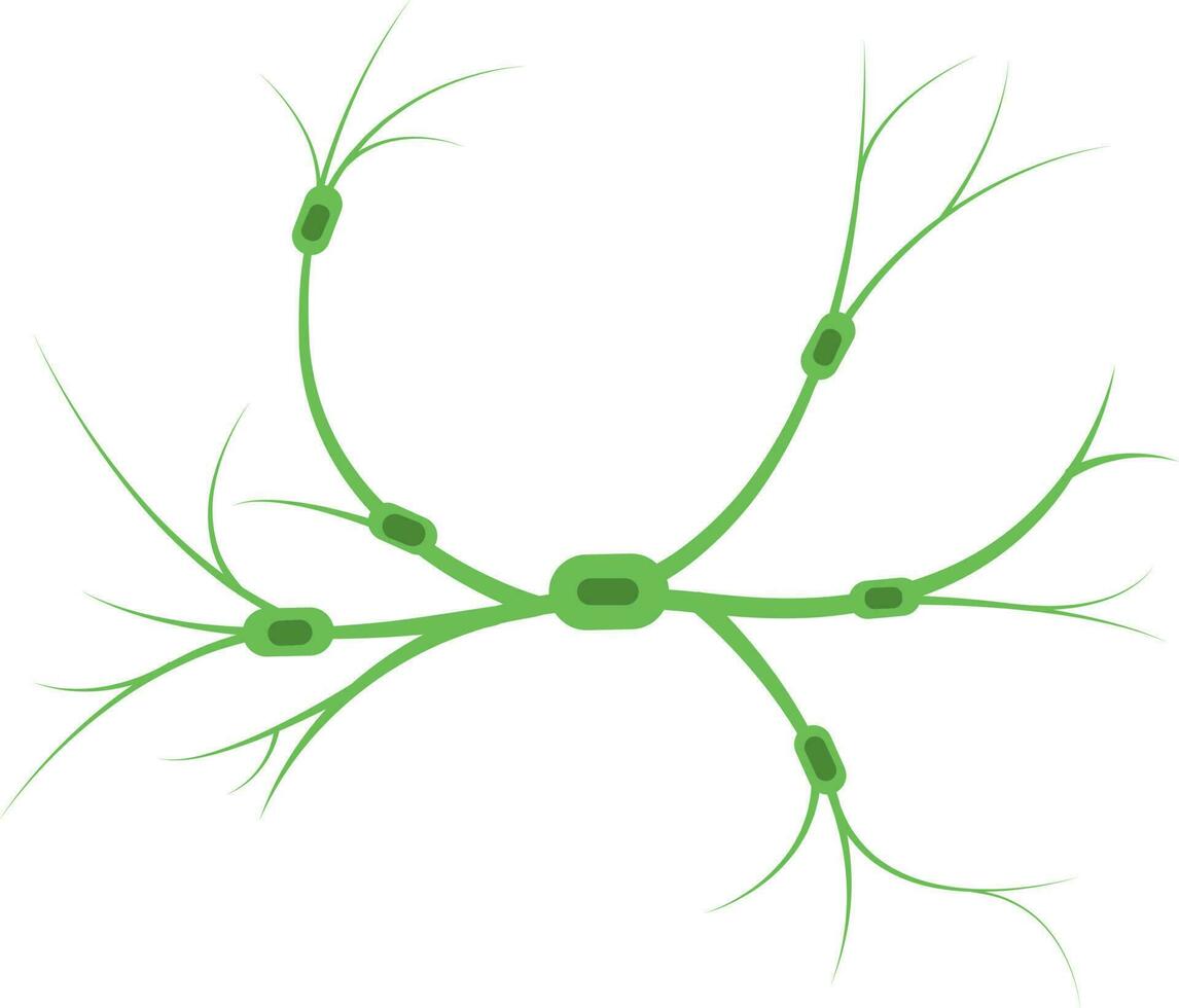 Flat Illustration Of Lymph Nodes Green Icon. vector
