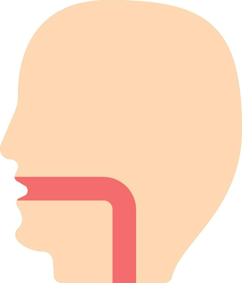 Red And Peach Esophagus Anatomy Flat Icon. vector