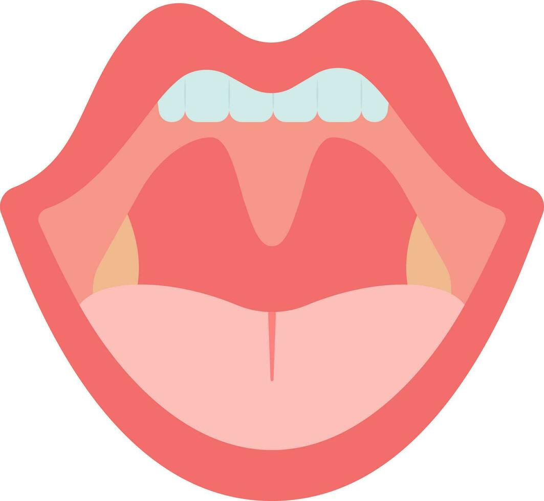 Human Mouth Internal Structure Icon In Red Color. vector
