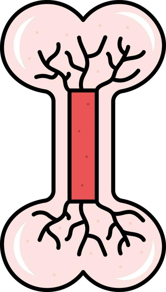 Red Illustration Of Bone Blood Circulation Icon. vector