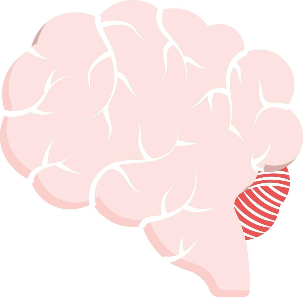 Pink And White Brain Anatomy Flat Icon. vector