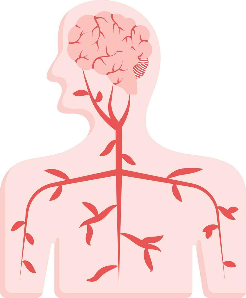 Blood Circulation System In Human Body Pink And Red Icon. vector