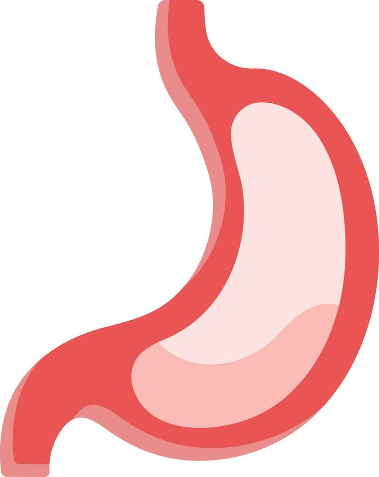 Red Illustration Of Stomach Structure Icon. vector