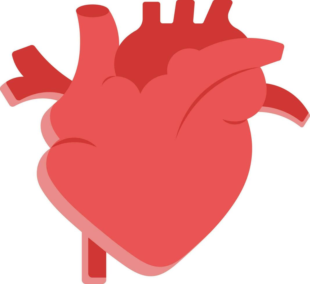Flat Human Heart Structure Icon In Red Color. vector