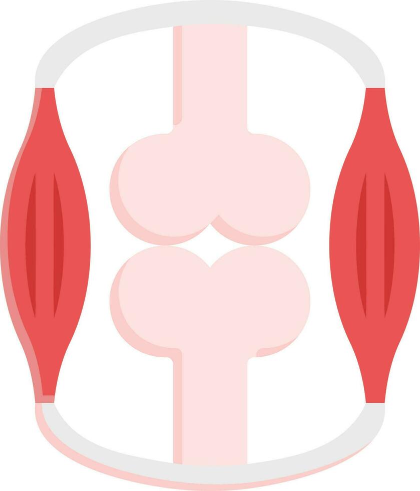 sinovial articulación estructura icono en rosado y rojo color. vector