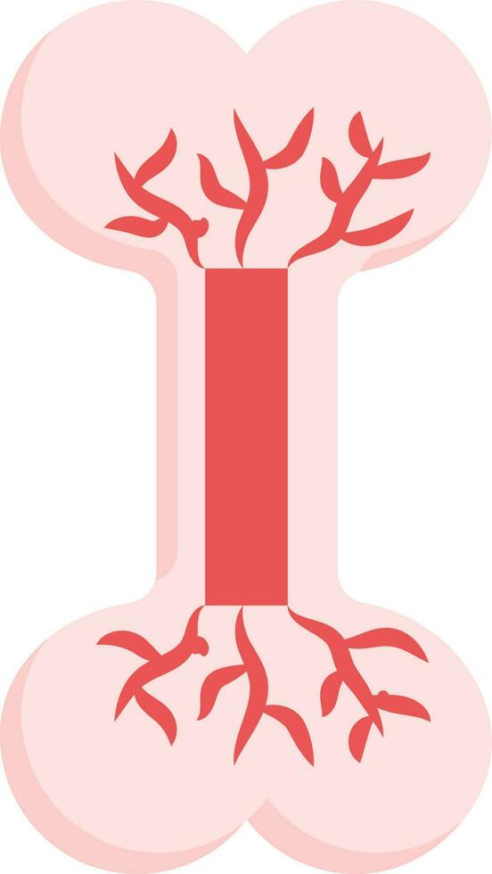 Red Illustration Of Bone Blood Circulation Icon. vector