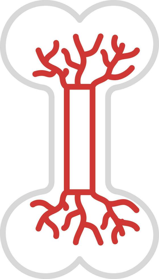 Red And Grey Linear Of Bone Blood Circulation Icon. vector