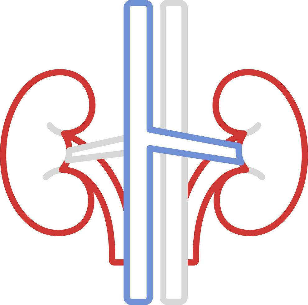 Colorful Stroke Style Of Kidney Structure Icon. vector