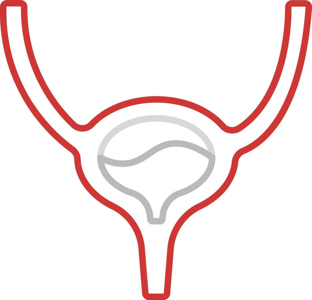 Red And Grey Illustration Of Bladder Anatomy Stroke Icon. vector