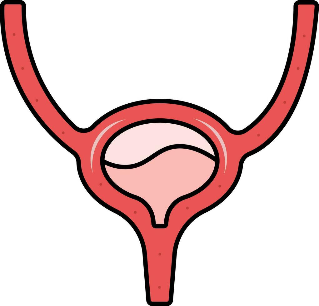 Red Illustration Of Bladder Anatomy Flat Icon. vector