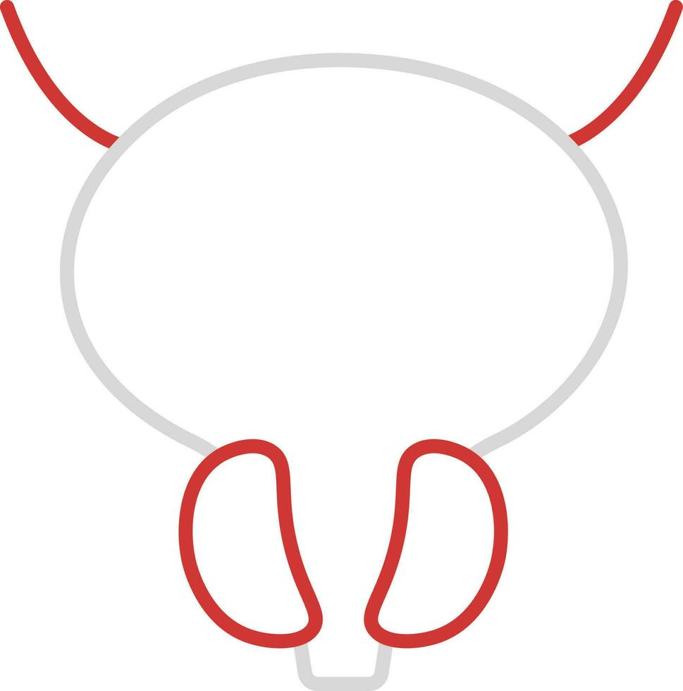 Grey And Red Prostate Gland Anatomy Thin Line Icon. vector