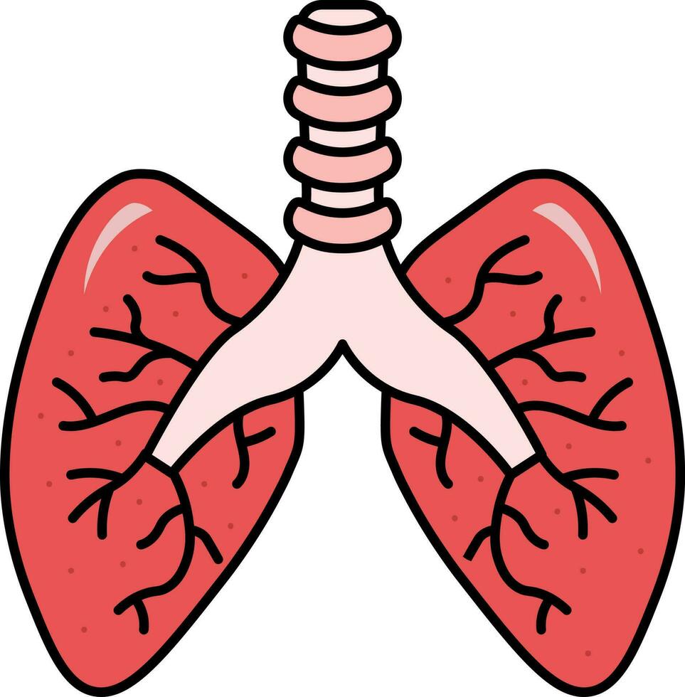 Flat Style Lungs Human Organ Icon In Red Color. vector