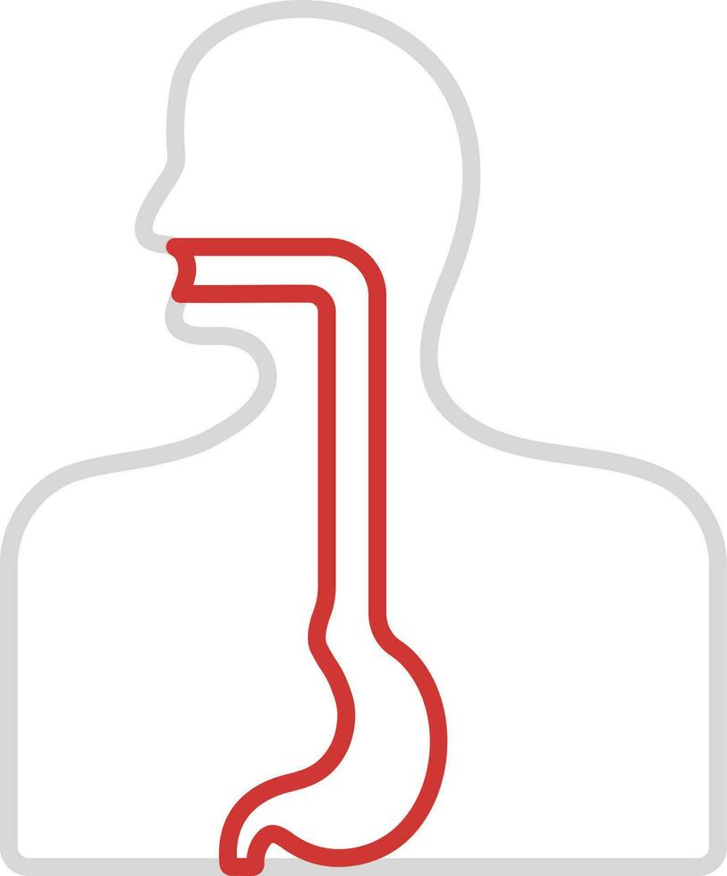 rojo y gris esófago anatomía contorno icono. vector