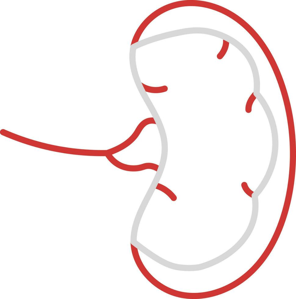 Thin Linear Of Spleen Icon In Grey And Red Color. vector