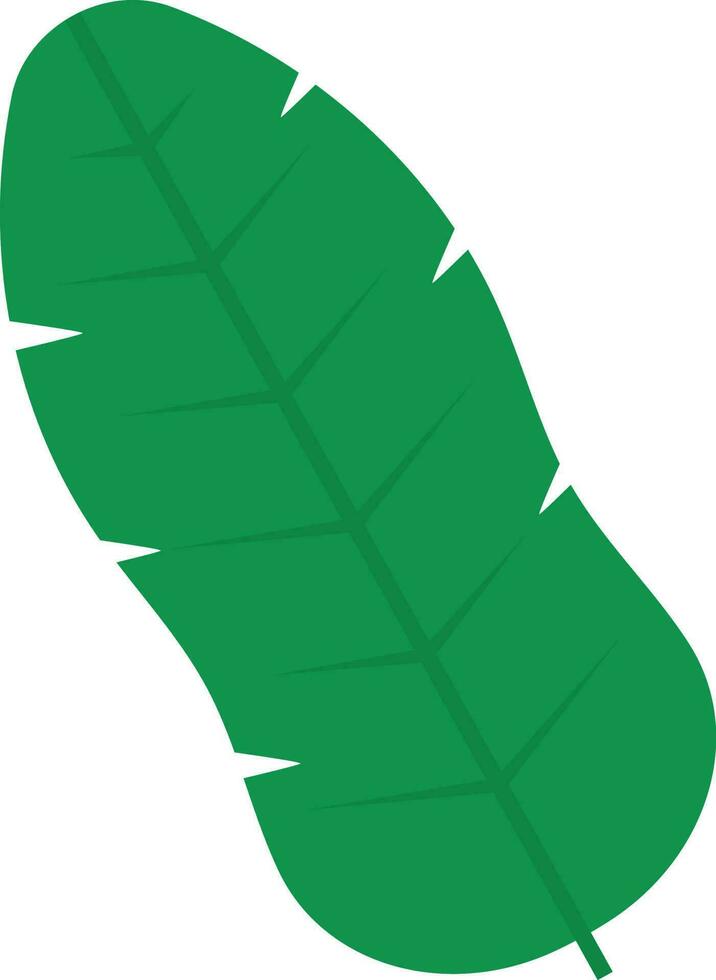 Green Banana Leaf Icon In Flat Style. vector