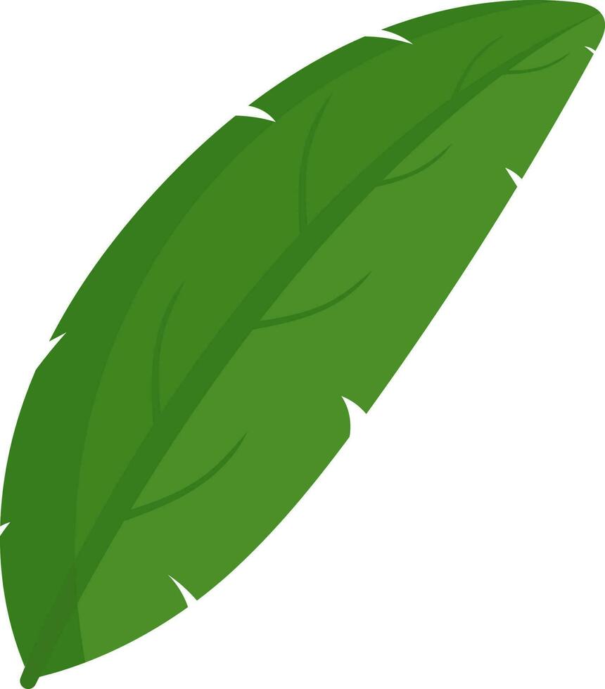 Isolated Bananana Leaf Icon In Flat Style. vector