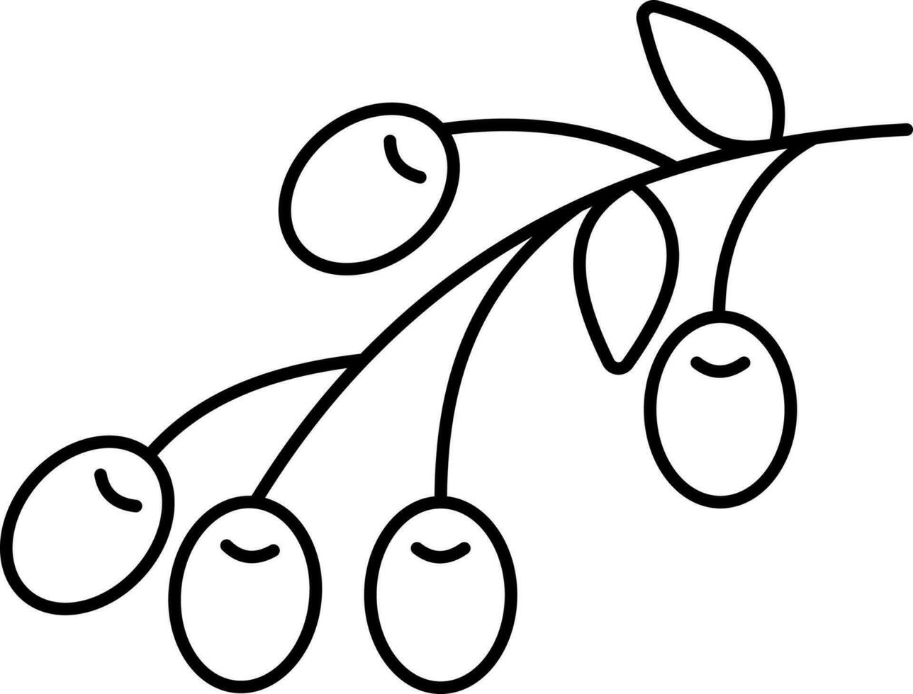 Olive Fruits Stem Black Outline Icon. vector