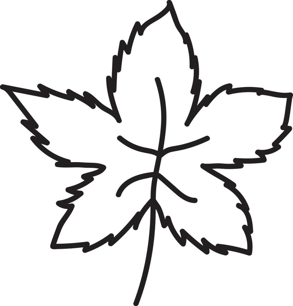 Isolated Maple Leaf Icon In Linear Style. vector
