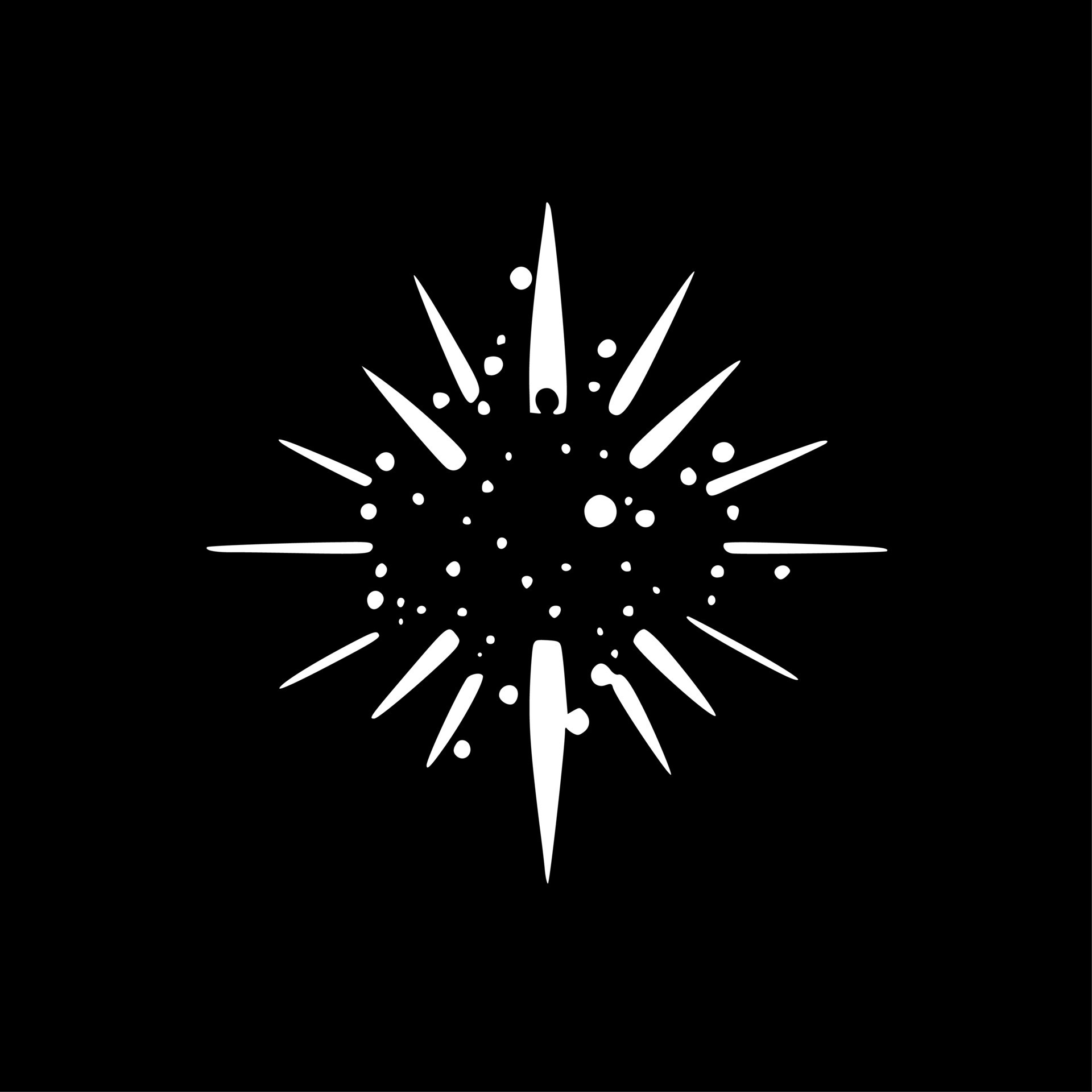 Sparkle - Black and White Isolated Icon - Vector illustration 24161222