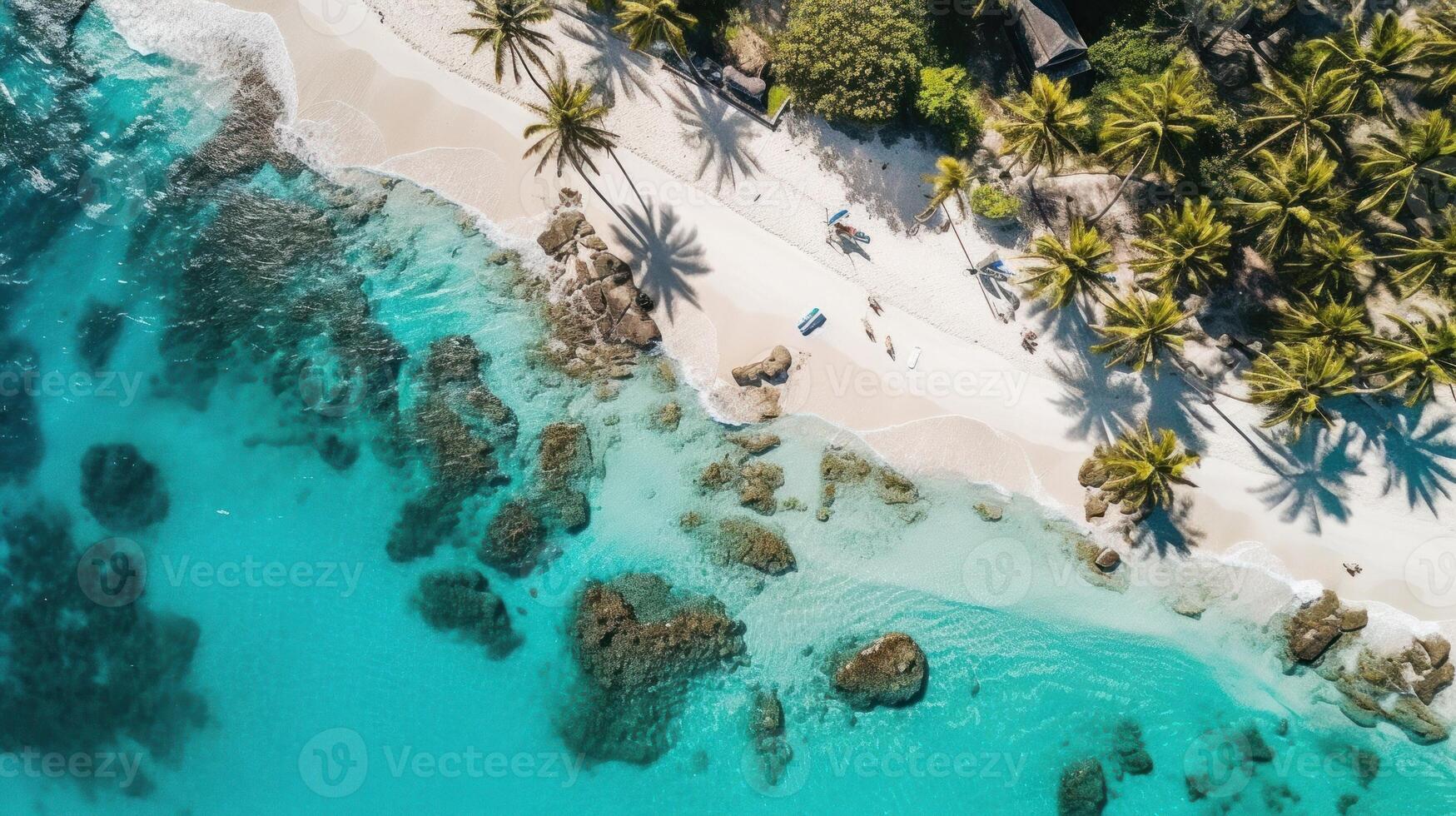 A tropical beach with palm trees seen from above. photo