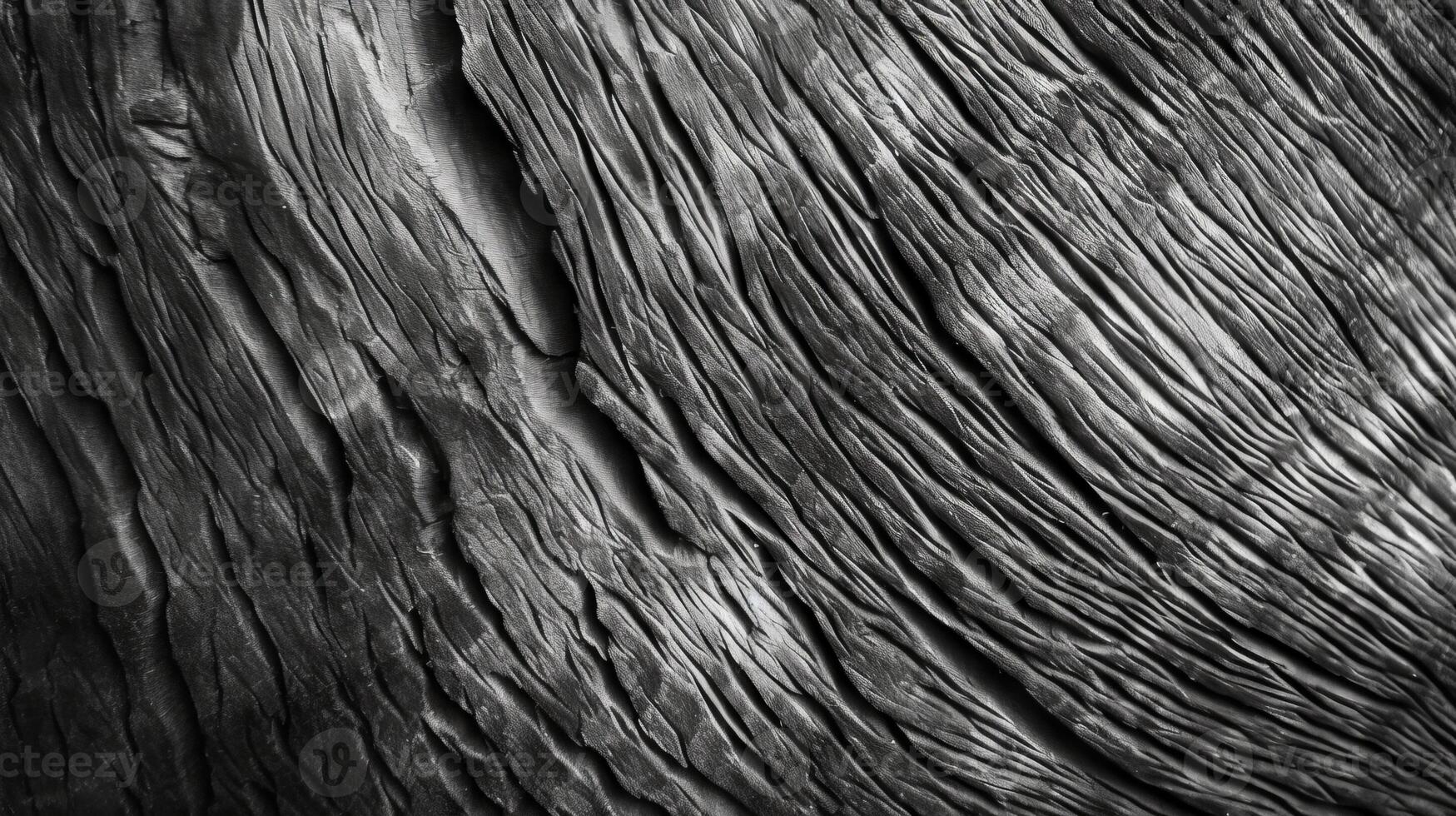 A monochromatic tree trunk. photo