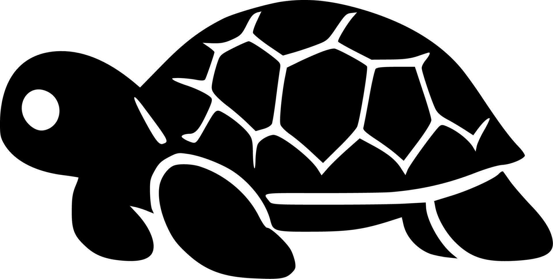 Turtle, Black and White Vector illustration