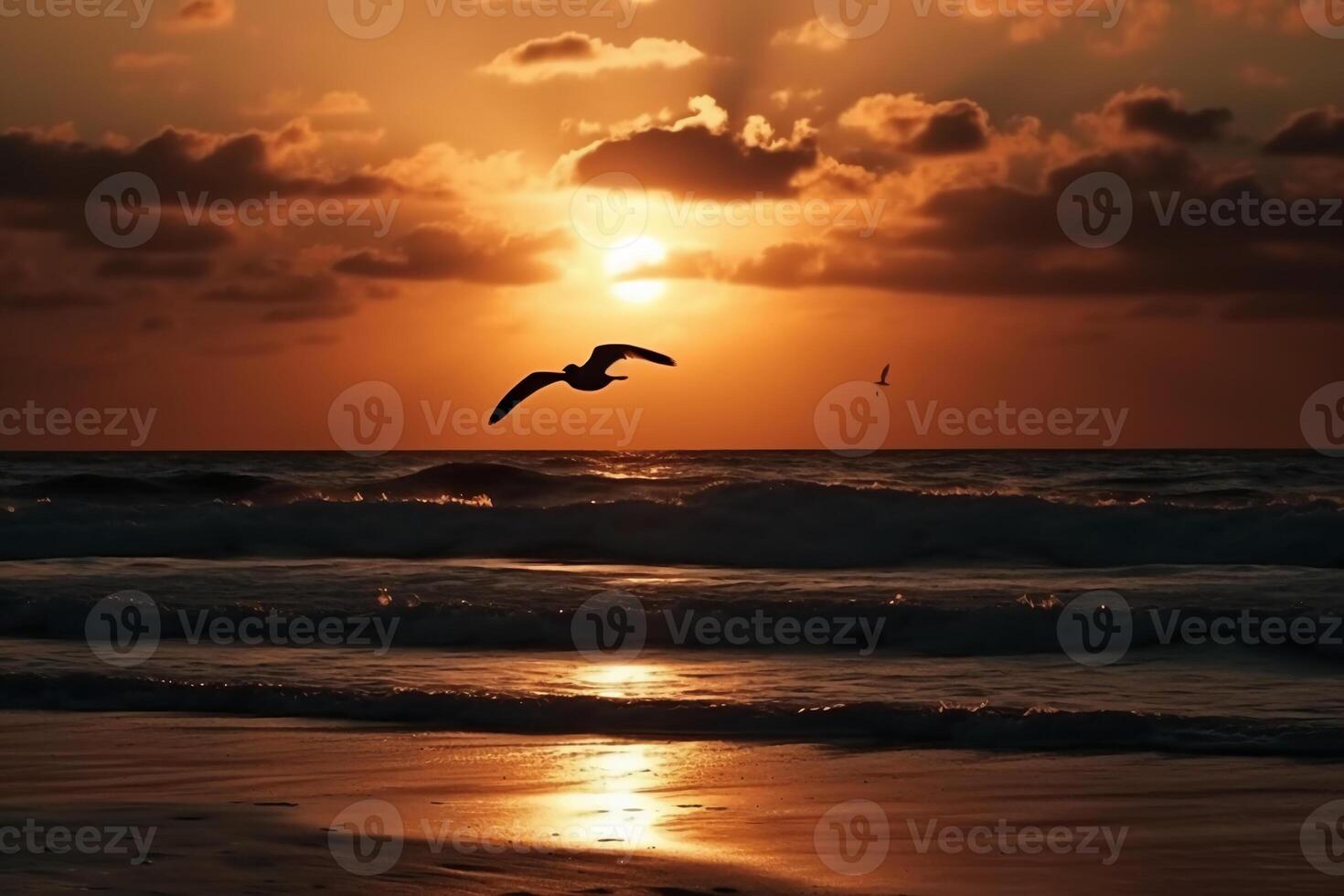 A flying seagull silhouette in sunset sky and beach. photo