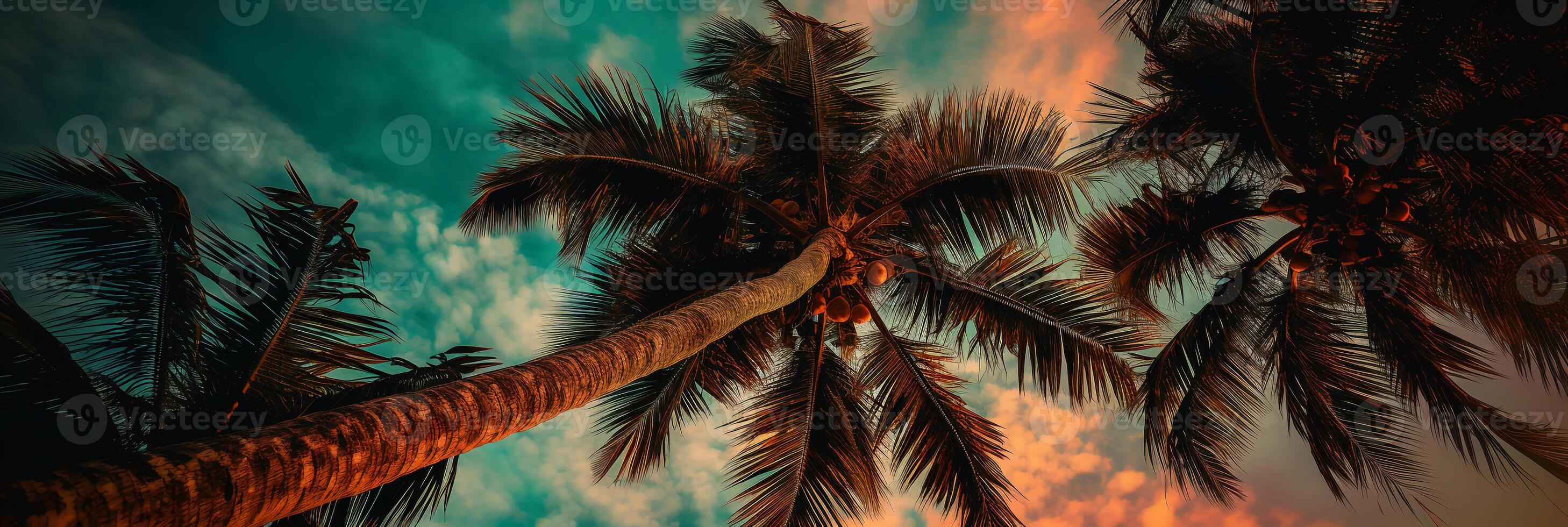 majestic palm tree with its lush green leaves gently swaying in the breeze. photo