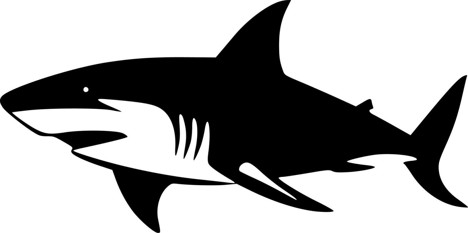 Shark, Black and White Vector illustration