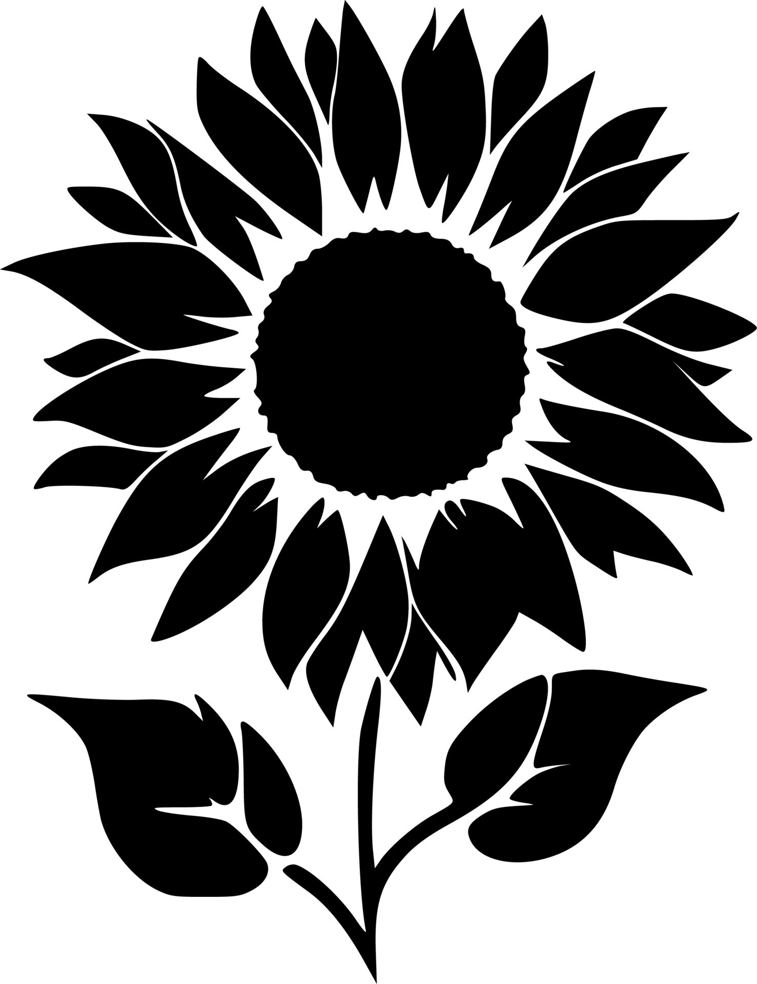 Sunflower, Black and White Vector illustration 24164607 Vector Art at