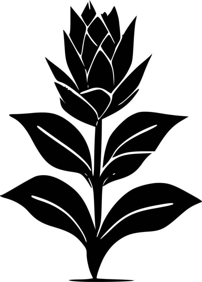 Succulent, Minimalist and Simple Silhouette - Vector illustration