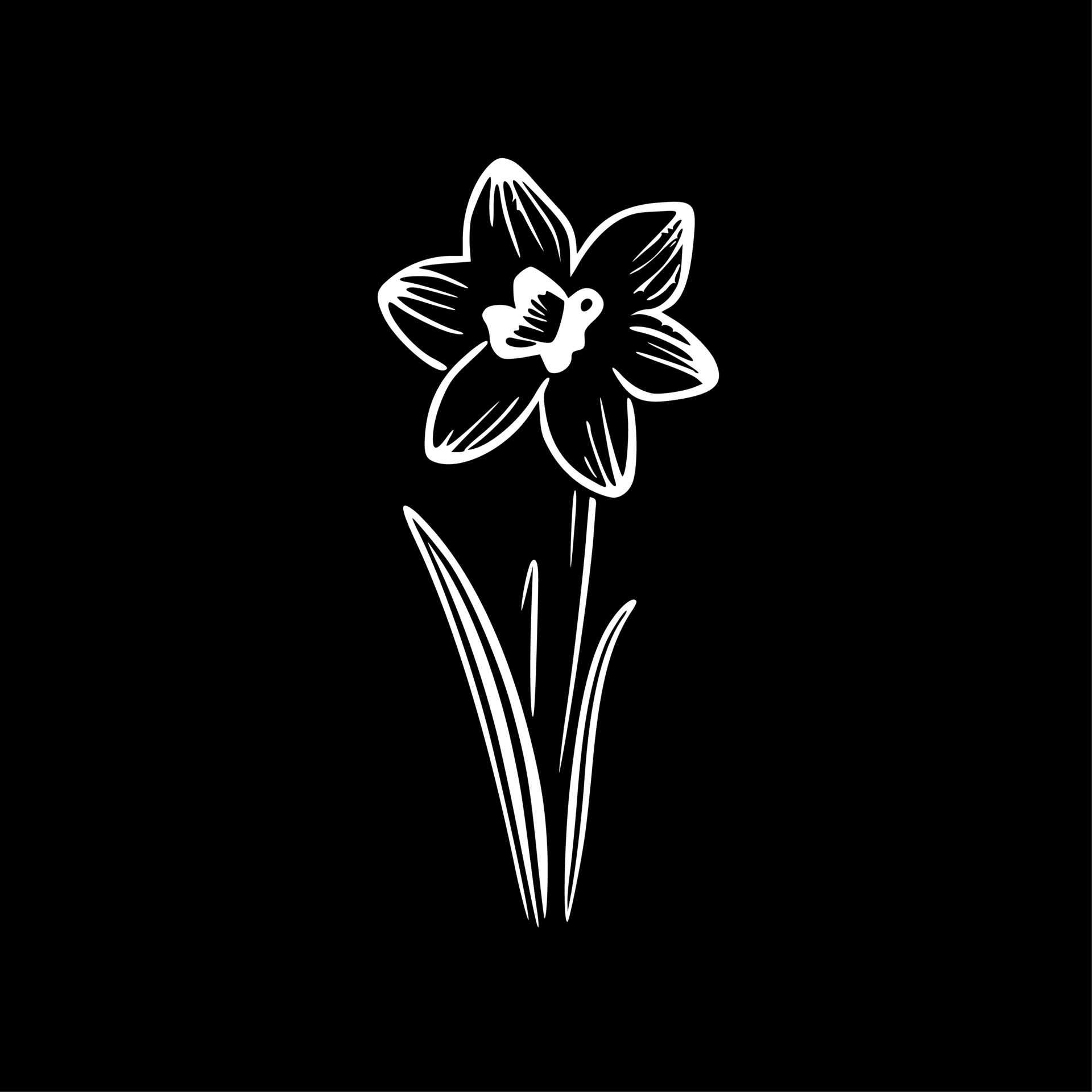Daffodil, Black and White Vector illustration 24164963 Vector Art at