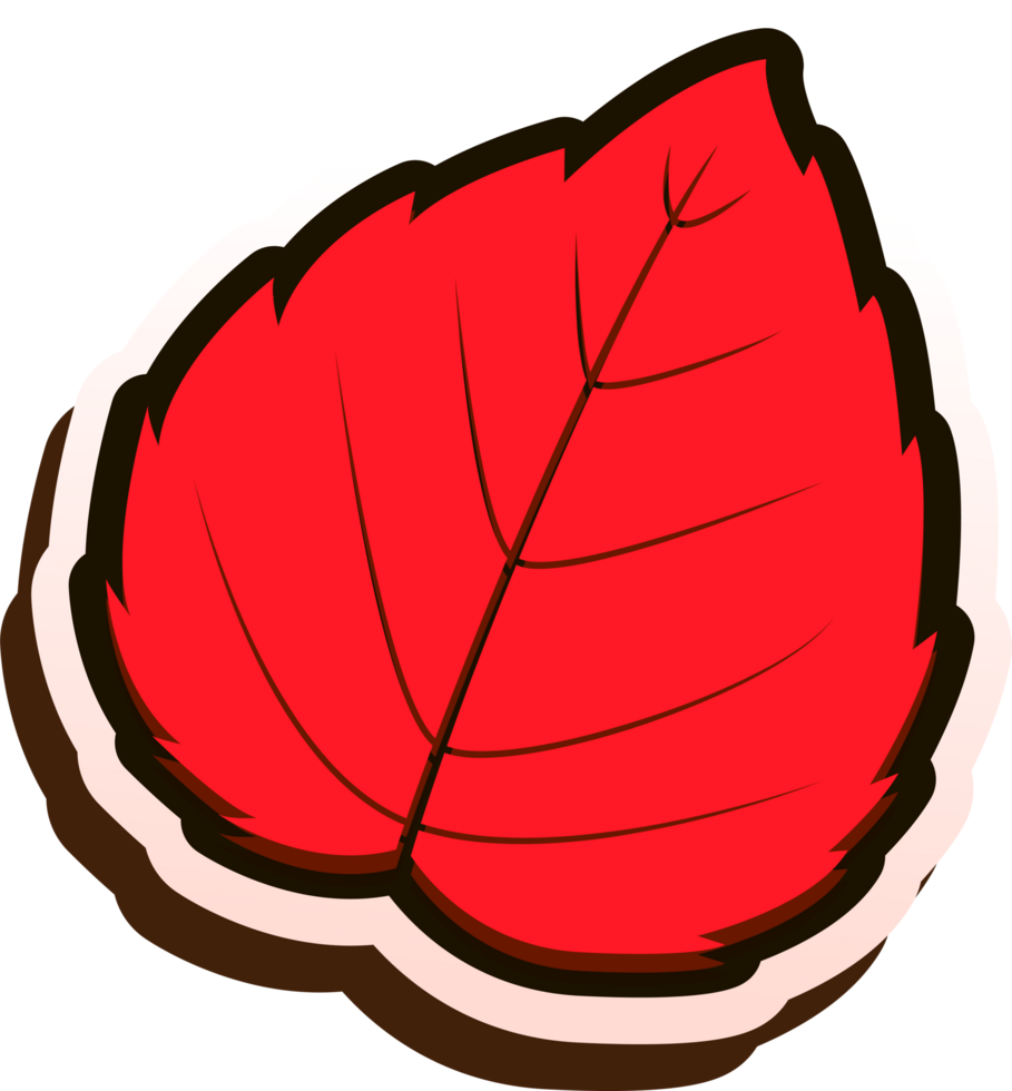 hand draw leaf png