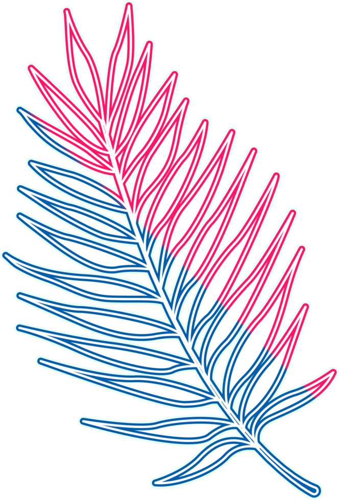 hand draw leaf png